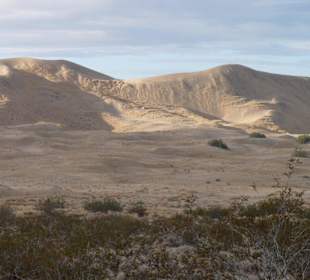 Kelso  Sand Dunes
