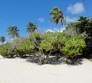 Spaziergang an der Plage de Bois Jolan