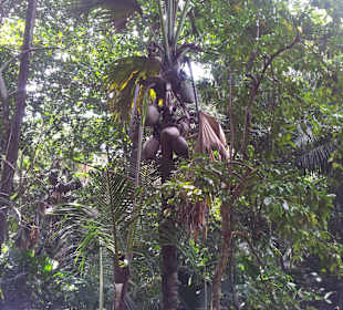 Ausflug mit Mario von Edelweiss Tours