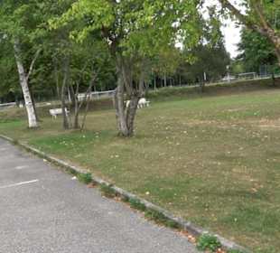 Vereinsheim TSV Hildrizhausen