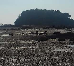 Rundreise Südthailand