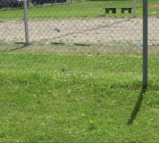 Sportanlage Gebrazhofen