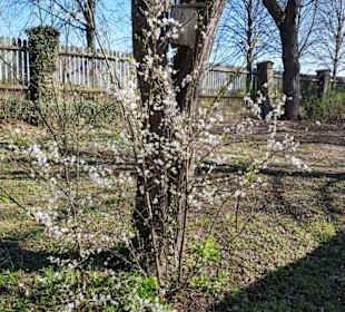 Mini-Teil vom Schlosspark