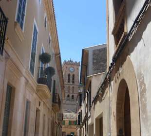 Die Kirche Santa Maria dels Àngels