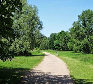Rundweg um den Krimpelsee