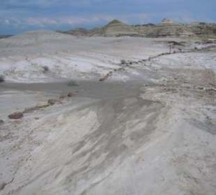 Erosionslandschaft im Dinosaur Provincial Park