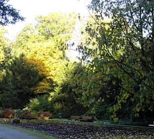 Herbstspaziergang durch den Schlosspark