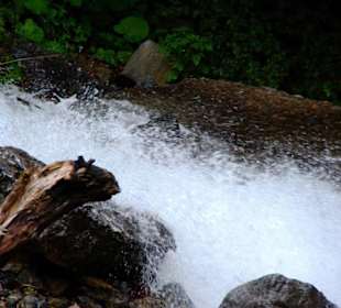 Der Plöckenpass 06-2011