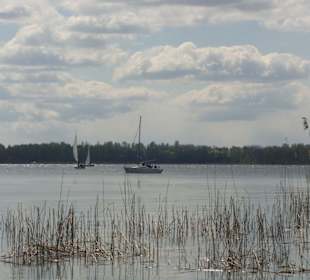 Sztynort - widok na jezioro dargin