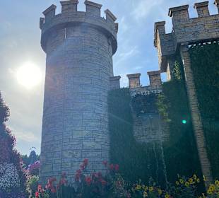 Dubai Miracle Garden