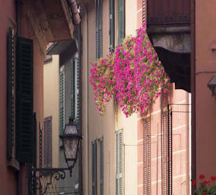 Widok z uliczek Mediolańskich