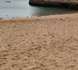 Praia de Nossa Senhora da Rocha