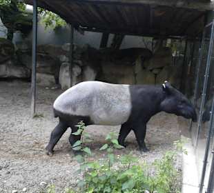  Tierpark Hellabrunn