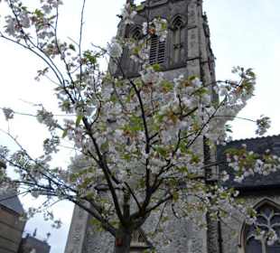 Ingresso della Chiesa
