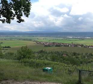 Wanderweg - Alter Steinbruch Pfaffenberg Runde