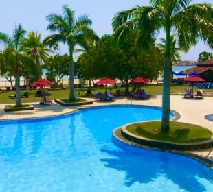 "Pool" The Palms (Beruwala) • HolidayCheck (Sri Lanka Westküste | Sri