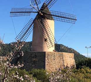 Wandern Santa Ponça / Santa Ponsa