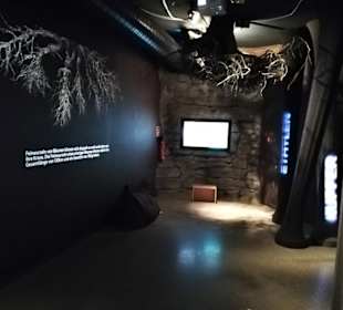 Museum Wurzelhöhle