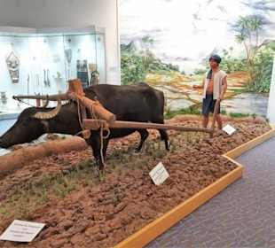 In der Völkerkundeabteilung des Museums