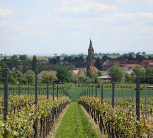 Wandern Kapellen-Drusweiler