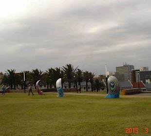 Port Elizabeth