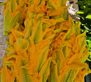 Stadtrundgang Paralia Kourna