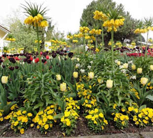 Insel Mainau im Mai