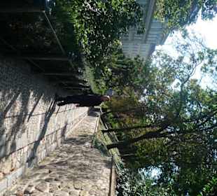 Дорога к замку