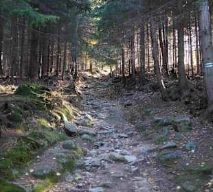 Riesengebirge/Karkonosze