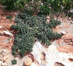 Nationalpark Kap Greco