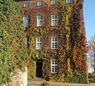 Zamek Królewski Wawel