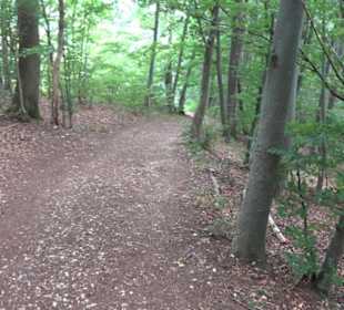 Hochgeträumt Premiumwanderung