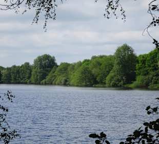 Impressionen vom Rundgang um den Tweelbäker See