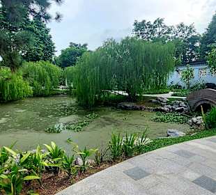 Chinese Garden