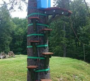 Forest Jump Park Linowy 