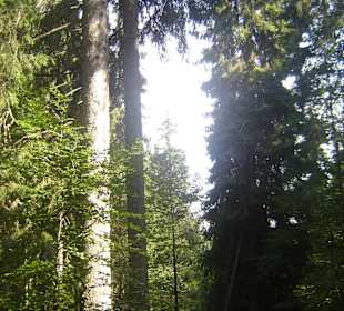 Parcul Natural Apuseni