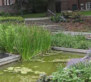 Millerntorspeier - Große Wallanlagen