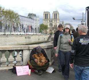 Katedra noterdam w dali