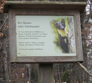 Wildpark Eichert