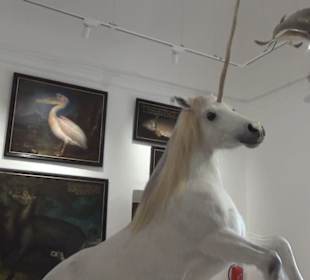 Ausstellung Sittikus