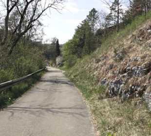 Waldlehrpfad an der Lauter