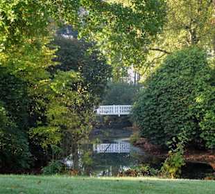 Herbstspaziergang durch den Schlosspark Lütetsburg