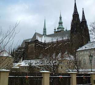 La cattedrale alla fortezza