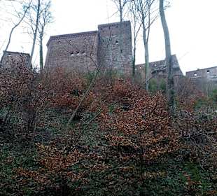 Burg Trifels in Annweiler am Trifels