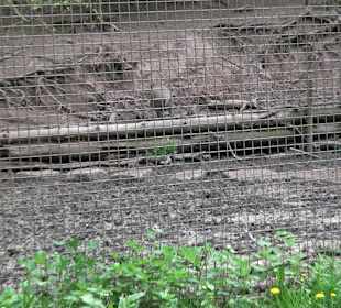 Walderlebnisweg Rottenburg