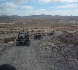 Buggy Tour