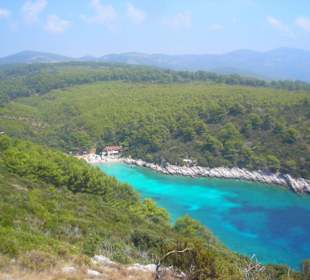 Zavalatica