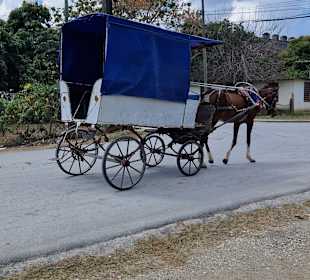 Altstadt Guardalavaca