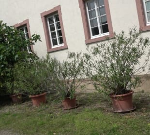 Benediktinerabtei Stift Neuburg