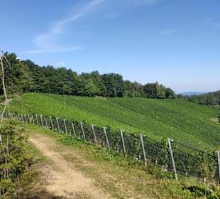 Wanderweg Kranichberg